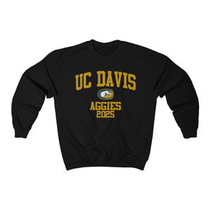 UC Davis Class of 2025