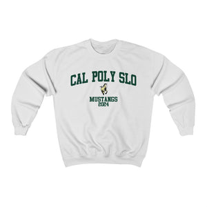 Cal Poly SLO Class of 2024