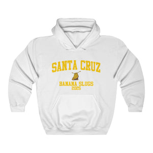 UC Santa Cruz Class of 2025