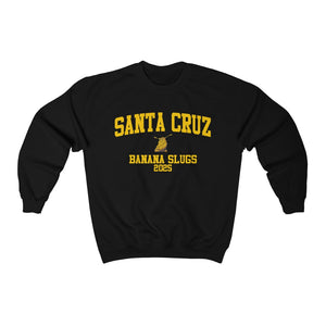UC Santa Cruz Class of 2025