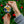 WVU Ceramic Ornaments